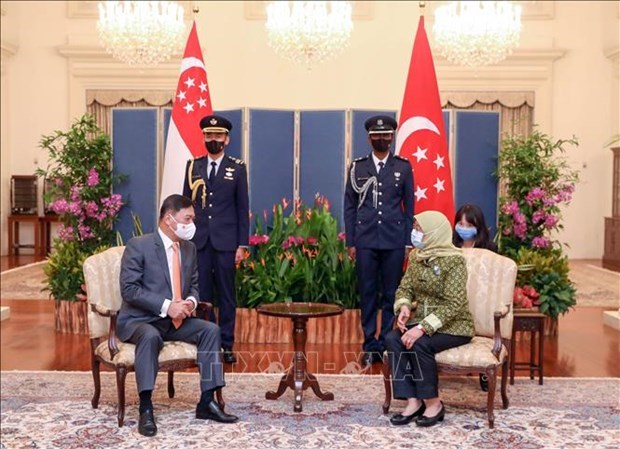 Президент Сингапура выразил удовлетворение развитием отношении с Вьетнамом hinh anh 1