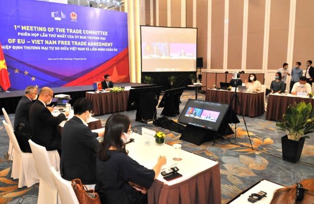 Вьетнам - ЕС: Обзор выполнения Соглашения EVFTA hinh anh 1