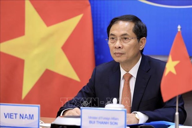 Поздравление Министру иностранных дел Буи Тхань Шону hinh anh 1