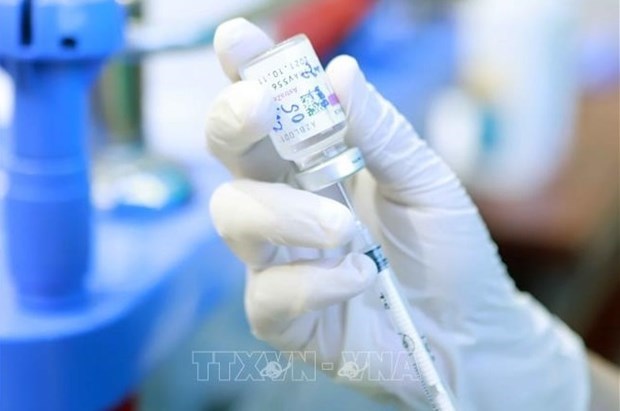 Вьетнам получит вакцины от COVID-19 из Великобритании и Чехии hinh anh 1