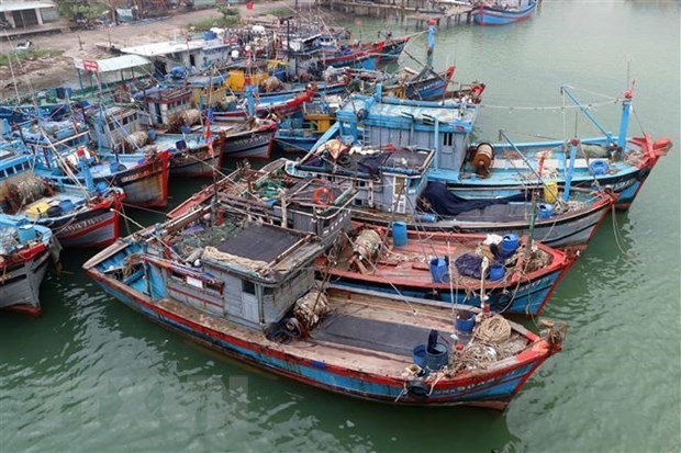 Вьетнам просит Китаи не осложнять ситуацию в Восточном море hinh anh 1