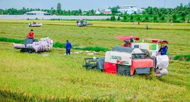 9 глобальных агротехнических предпринимателеи поддержали масштабирование решении во Вьетнаме hinh anh 1