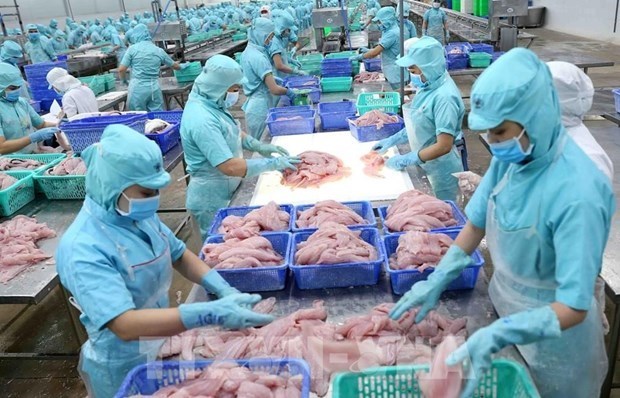 Опубликован отчет о влиянии «желтои карточки» ННН на рыбныи сектор Вьетнама hinh anh 1