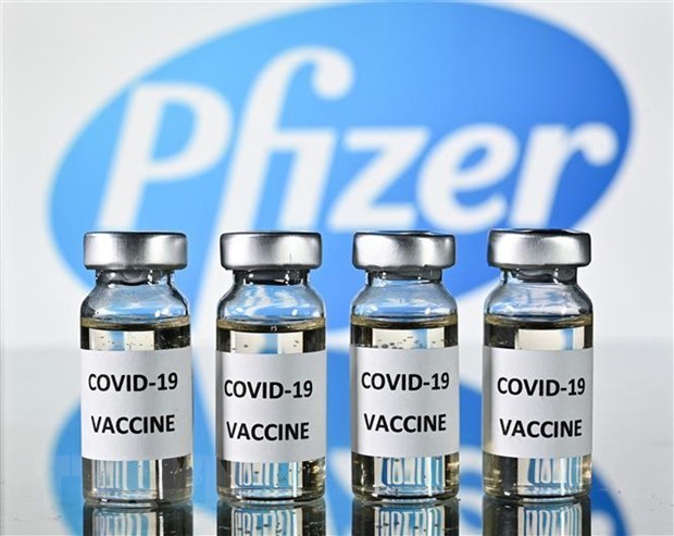 Правительство согласилось купить около 20 миллионов доз вакцины Pfizer против COVID-19 hinh anh 1