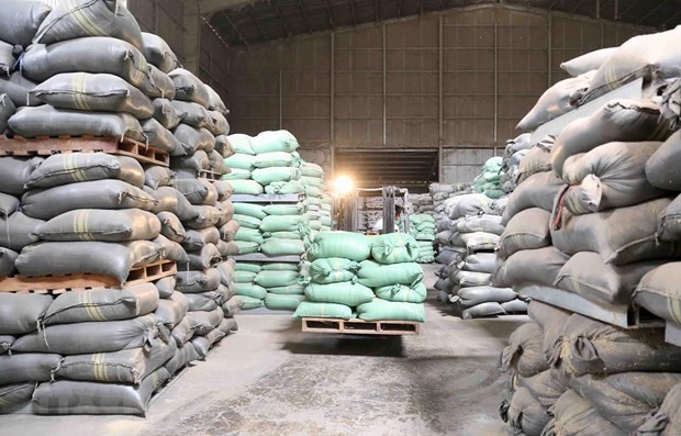 Людям, пострадавшим COVID-19, предоставлено более 4.100 тонн риса hinh anh 1