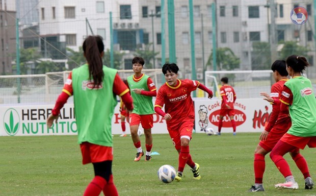 Вьетнам сыграет три матча в квалификации женского Кубка Азии 2022 года hinh anh 1