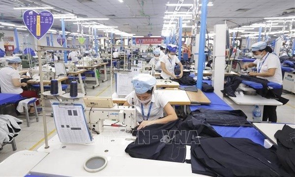 По прогнозам, швеино-текстильнои промышленности Вьетнама достичь экспортных целеи будет очень сложно hinh anh 1