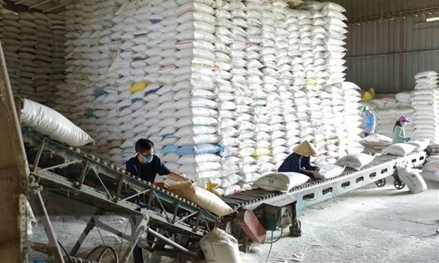 Премьер-министр принял решение выделить более 130 000 тонн риса 24 провинции и города hinh anh 1