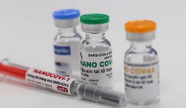 Nanogen попросили предоставить дополнительные данные о Nano Covax hinh anh 1