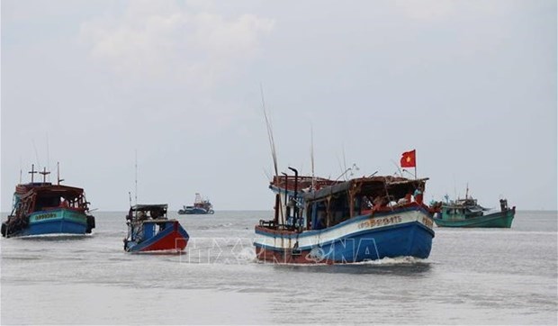 Эффективное проведение инспекции и мониторинга рыболовных судов, способствующих отмене «желтои карты» ННН-промысла hinh anh 1