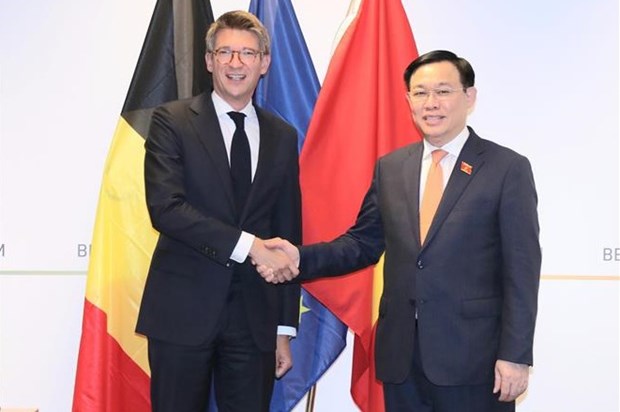 Председатель Национального собрания встретился с вице-премьером Бельгии Пьером-Ивом Дерманем hinh anh 1