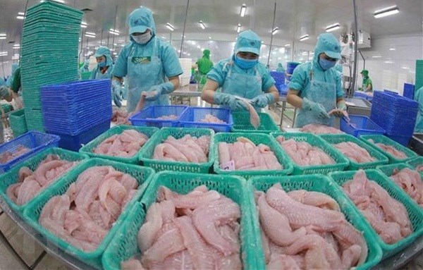Многие вьетнамские экспортеры морепродуктов не облагаются антидемпинговыми тарифами США hinh anh 1