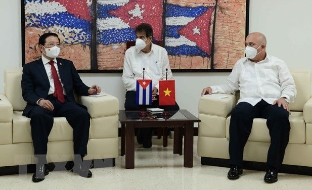 Вьетнам и Куба делятся опытом партииного строительства hinh anh 1