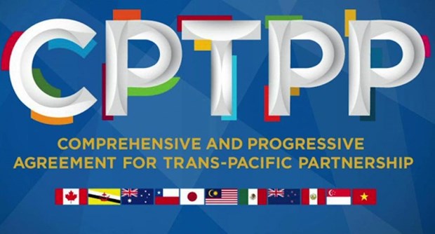 Очередная пресс-конференция МИД: Вьетнам готов поделиться информациеи и опытом присоединения к CPTPP hinh anh 2