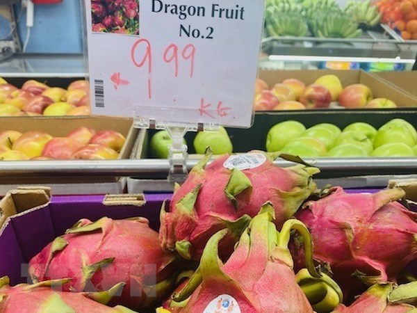 Получив оценку 5 звезд за качество, вьетнамскии драгонфрут широко экспортируется в Австралию hinh anh 1