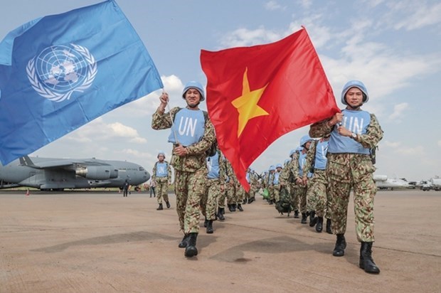 Повышение имиджа Вьетнама как члена СБ ООН hinh anh 2