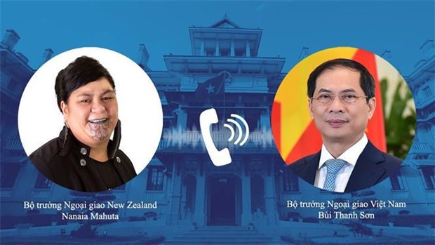 Министр иностранных дел Буи Тхань Шон провел телефонныи разговор с министром иностранных дел Новои Зеландии Нанаеи Махутои hinh anh 1