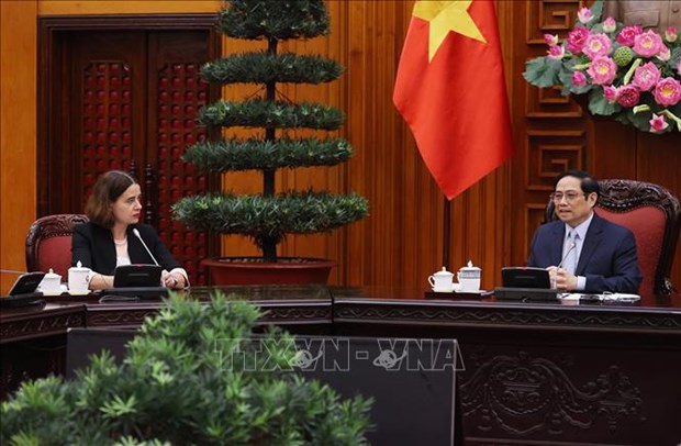 Премьер-министр Фам Минь Тьинь принял посла Австралии во Вьетнаме hinh anh 1