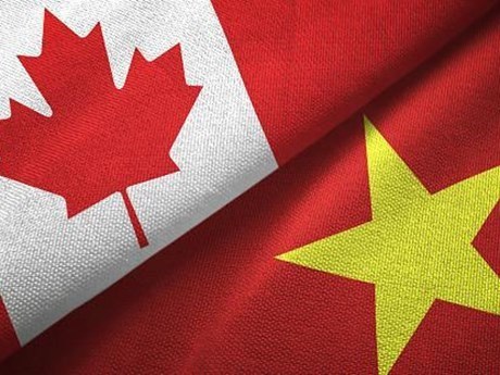 Продвижение вьетнамско-канадских отношении и сотрудничества в ответ на пандемию COVID-19 hinh anh 1
