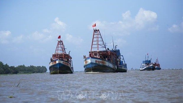 Вьетнам исправляет незаконныи лов рыбы в чужих водах hinh anh 1