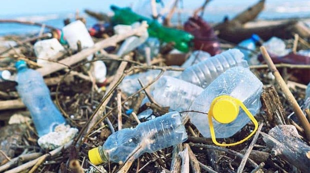 В соцсети запущена кампания по снижению пластиковых отходов hinh anh 1