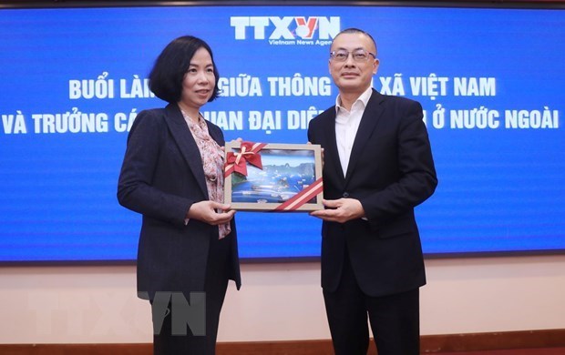 Поддерживать эффективное сотрудничество между ВИА и вьетнамскими представительствами за рубежом hinh anh 1