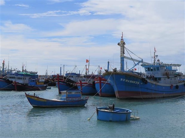 Предприятия по производству морепродуктов обязуются бороться с ННН-промыслом hinh anh 1