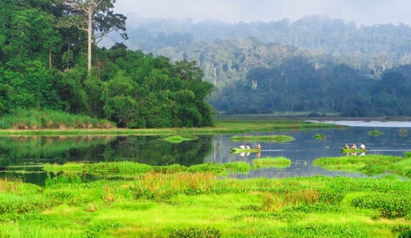 Изучение 11 мировых биосферных заповедников во Вьетнаме hinh anh 10