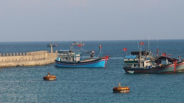 Рыбаки Киенжанга получили поддержку для возобновления работы hinh anh 1