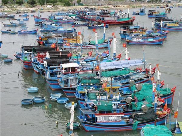 Рыбаки Киенжанга получили поддержку для возобновления работы hinh anh 2
