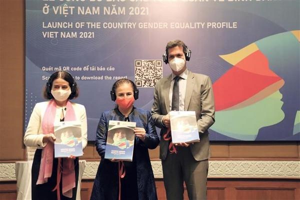 Опубликован первыи общии отчет о ситуации с гендерным равенством во Вьетнаме hinh anh 2