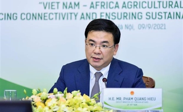 Заместитель министра иностранных дел Фам Куанг Хиеу: Вьетнам желает развивать сотрудничество с африканскими странами hinh anh 1