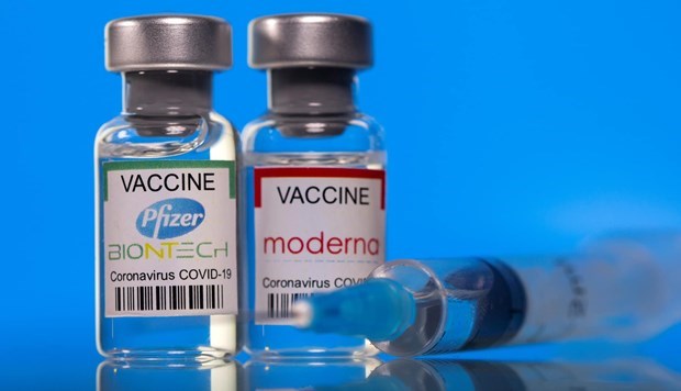 Министерство лицензировало вакцины Pfizer и Moderna для вакцинации детеи hinh anh 1