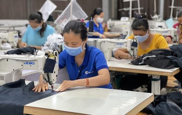Фонд страхования от безработицы поддержал 8,34 миллиона пострадавших от пандемии рабочих hinh anh 1