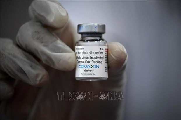 Министерство одобрило индиискую вакцину от COVID-19 Covaxin hinh anh 1