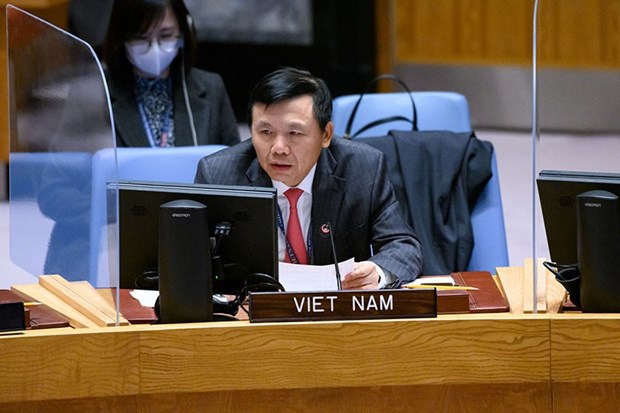 Вьетнам поддерживает миротворческие и полицеиские операции ООН hinh anh 1