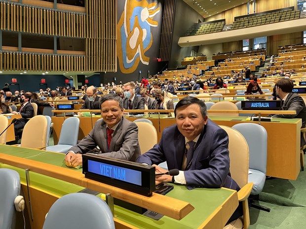 Вьетнам переизбран в Комиссию международного права ООН hinh anh 2