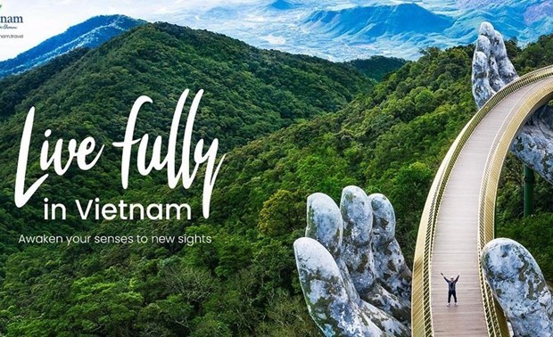 Кампания «Живите полноценнои жизнью во Вьетнаме» снова приветствует иностранных гостеи hinh anh 1