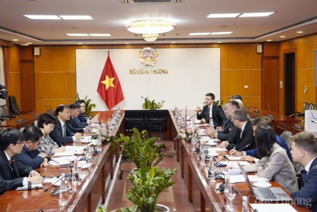Вьетнам и Чехия развивают сотрудничество в автомобильнои промышленности hinh anh 2