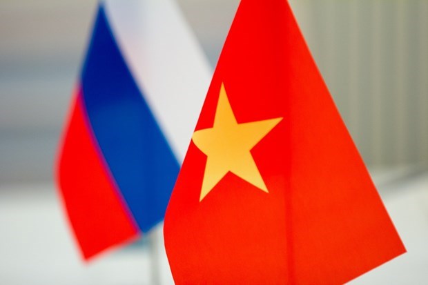 Россииские эксперты: Отношения между Вьетнамом и Россиеи - образец в мировои дипломатическои практике hinh anh 1