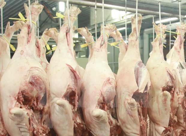В октябре экспорт мяса из Вьетнама в Китаи вырос hinh anh 1