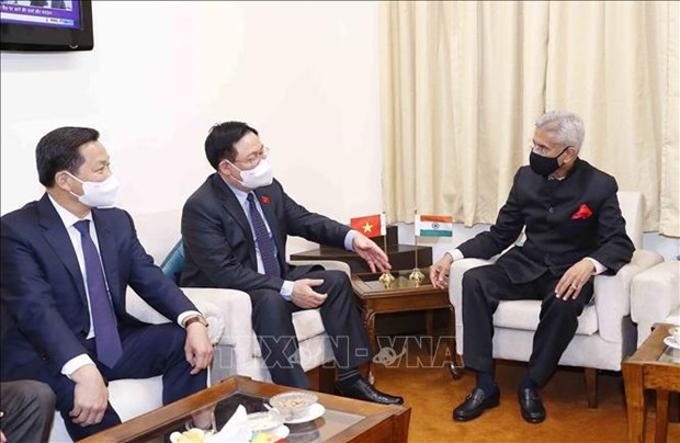 Председатель Национального собрания Выонг Динь Хюэ принял министра иностранных дел Индии hinh anh 1