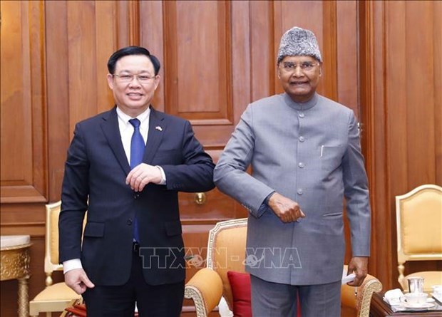 Председатель НС Выонг Динь Хюэ встретился с президентом Индии hinh anh 1