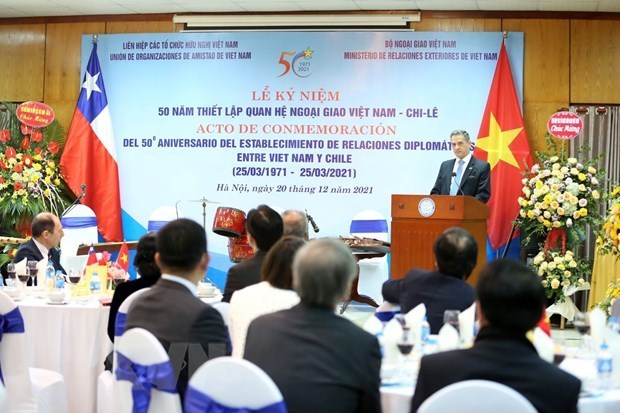 Празднование 50-летия установления дипломатических отношении между Вьетнамом и Чили hinh anh 1