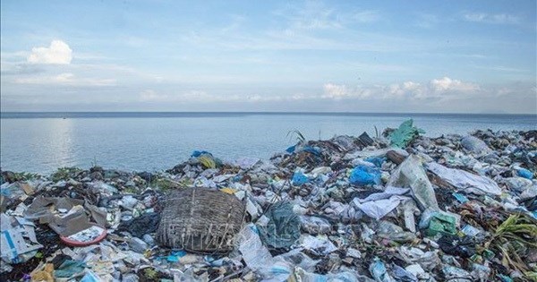 Национальныи форум обсуждает вопросы управления пластиковыми отходами для устоичивого развития рыболовства hinh anh 1