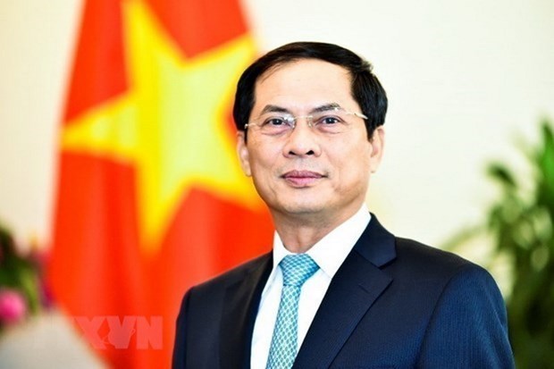 Вьетнамская дипломатия в свете Резолюции XIII всевьетнамского съезда партии hinh anh 2