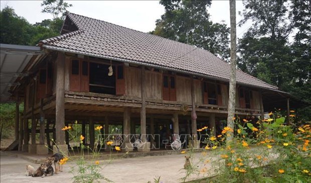 Сохранение традиционных домов на сваях народности Мыонг, связанное с развитием общинного туризма hinh anh 1
