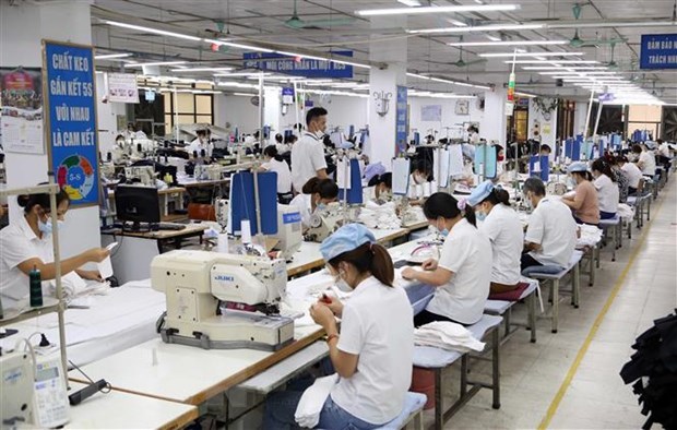Более 46,8% рабочих в городе Хошимин, пострадавших от пандемии COVID-19 hinh anh 1