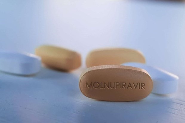 Лекарства с молнупиравиром для лечения COVID-19 предложены к лицензированию hinh anh 1