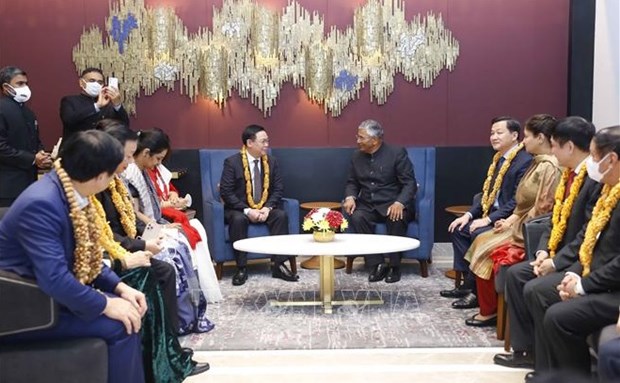 Вьетнам и Индия имеют большои потенциал для развития двусторонних отношении hinh anh 1